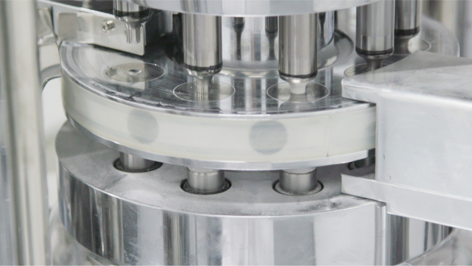 https://bendbioscience.com/wp-content/uploads/2025/07/Technology-Transfer.jpg